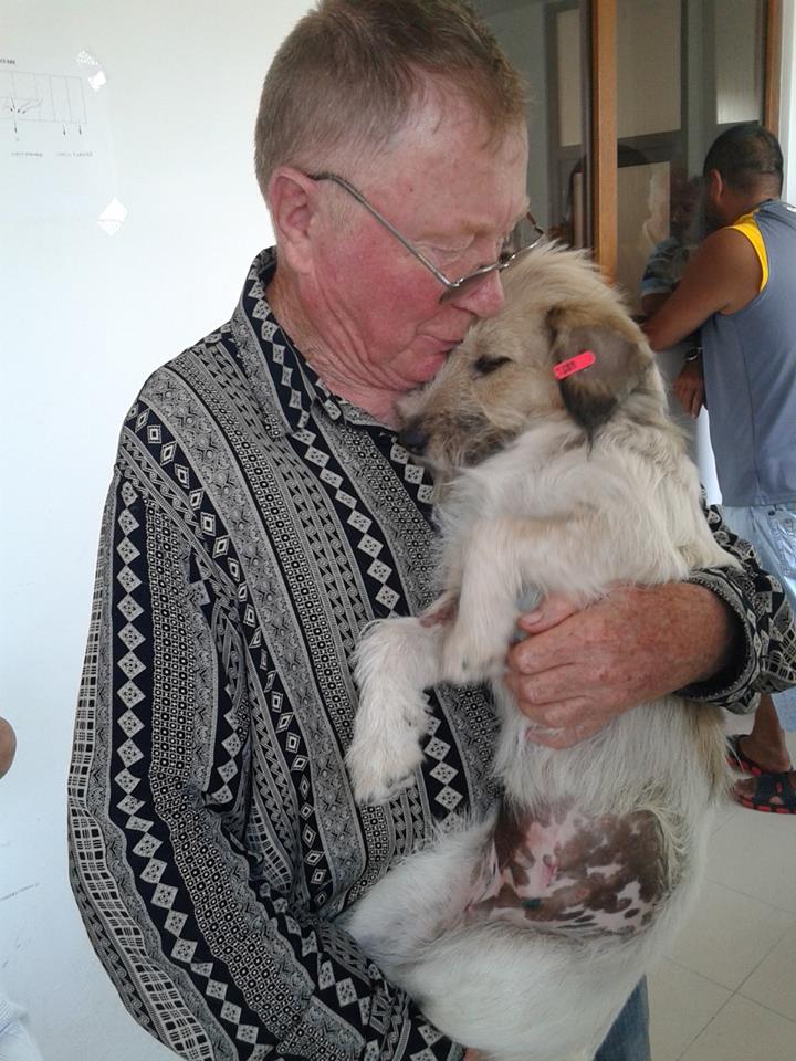 Photo 7 from ROMANIA ANIMAL RESCUE INC DBA ANIMAL SPAY NEUTER INTL